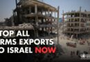 UN Experts to Businesses: Stop Arms Sales to Israel