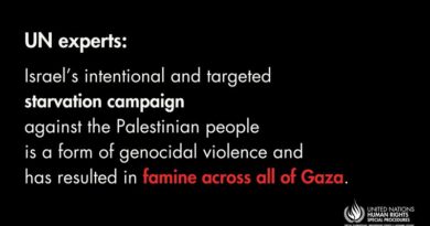 Famine Spreads in Gaza Strip: UN Experts. Photo: UN Human Rights Office