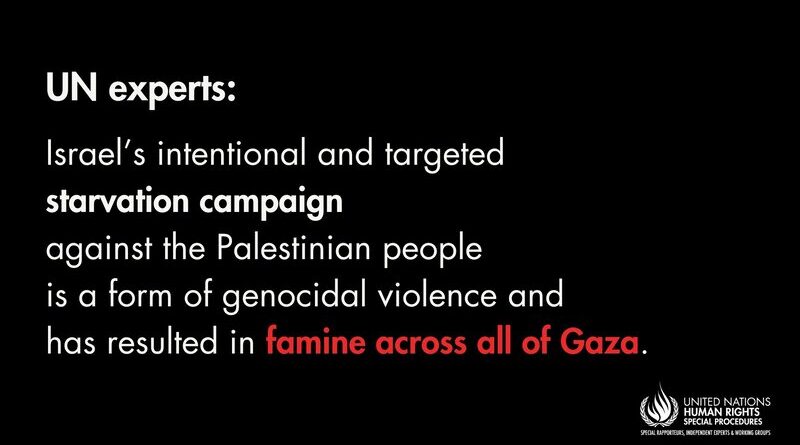 Famine Spreads in Gaza Strip: UN Experts. Photo: UN Human Rights Office
