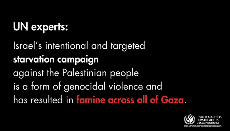 Famine Spreads in Gaza Strip: UN Experts. Photo: UN Human Rights Office