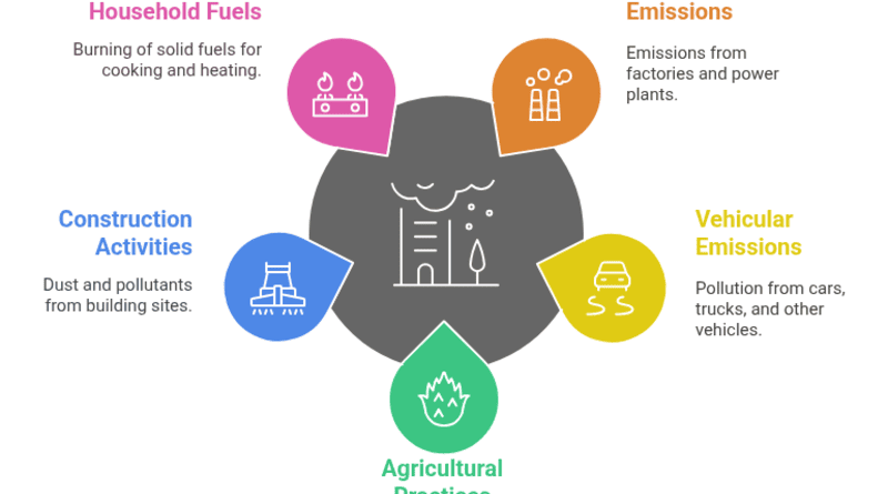 Factors Contributing to Air Pollution Crisis in India